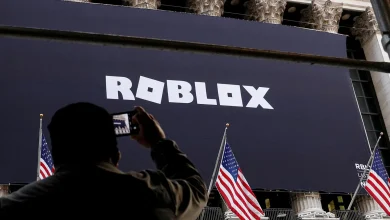 Netherlands watchdog probing Roblox over risks to children