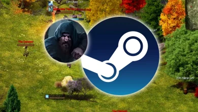 New MMORPG on Steam launches today, but warns the community about the developer