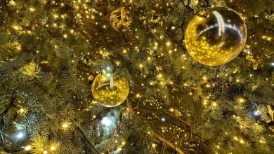 New Year's events in Minsk: where to go after the chimes