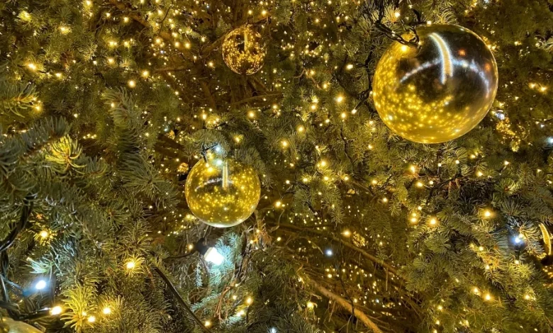 New Year's events in Minsk: where to go after the chimes