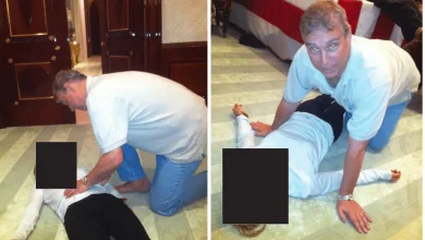 New evidence shows Andrew proposed Epstein visit to Buckingham Palace