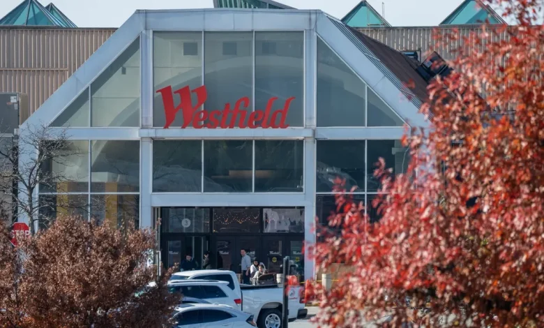 Newark teenager accused of brandishing gun at Garden State Plaza