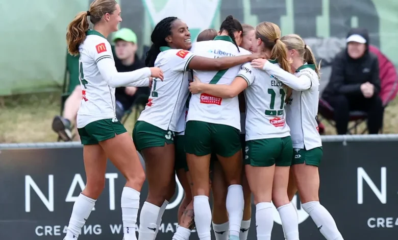 Ninja A-League Round 13 Match Review