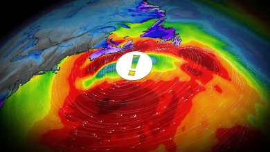 Nor’easter to bring heavy snow, winds to Atlantic Canada by Sunday