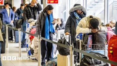Norwich-Amsterdam flights grounded in icy weather