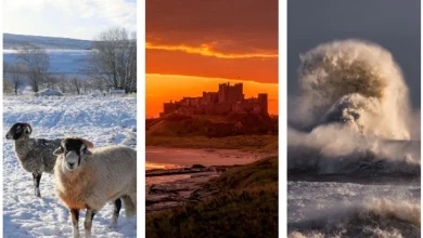 November 2025: Your weather pictures for the Tyne Tees region