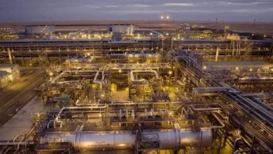 OPEC+ Reaffirms Output Pause as Eight Producers Cite Market Stability