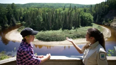 Ontario Parks opens applications for student summer jobs; here’s what they pay