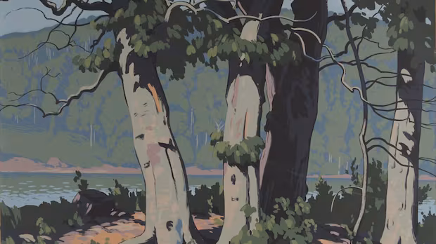 Ontario school board invokes secrecy provision to withhold records on $34K fine art collection