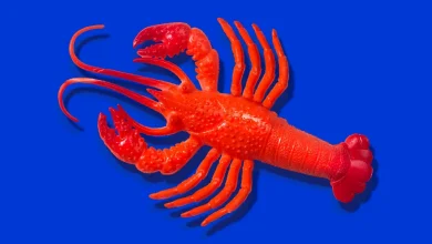 OpenClaw's AI assistants are now building their own social network