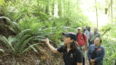 Oregon State earns third Carnegie Community Engagement Classification