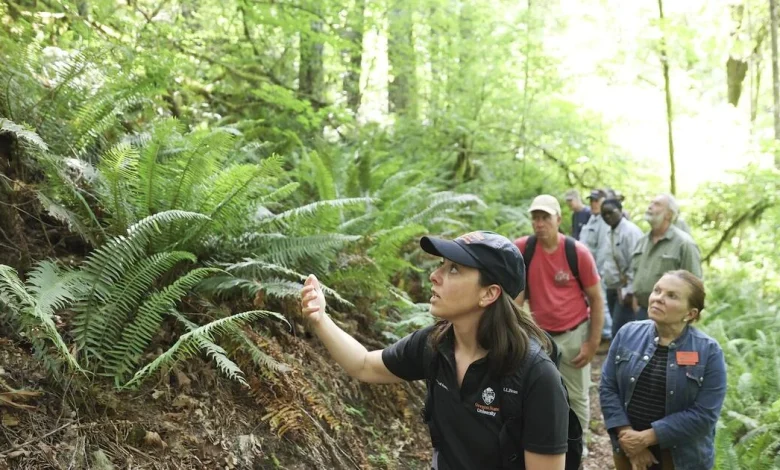 Oregon State earns third Carnegie Community Engagement Classification