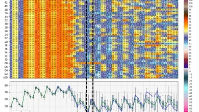 Our official forecast for the Houston Marathon: trending cooler, with borderline ideal conditions