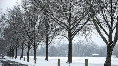 Pa. weather: How much snow is coming this weekend?