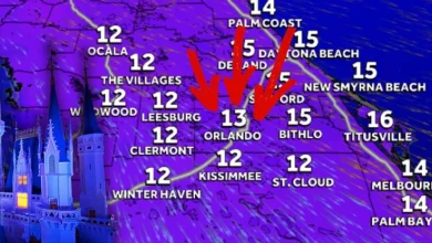 Park Closes at Disney World as Flights Break Apart and System-Wide Disruptions Loom