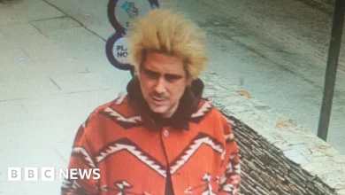 Partner of Mick Jagger's granddaughter reported missing