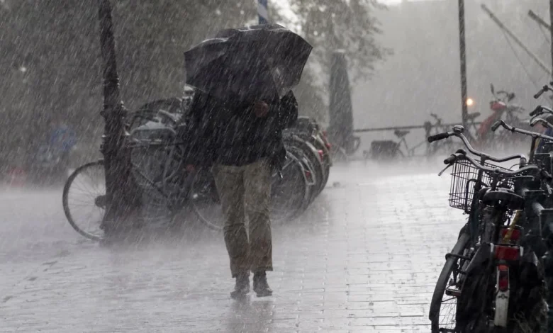 Patchy rain ahead: Light showers likely tomorrow