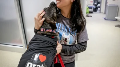 Patriots HC Mike Vrabel changing culture for dogs in shelters, Robert Kraft’s wife says