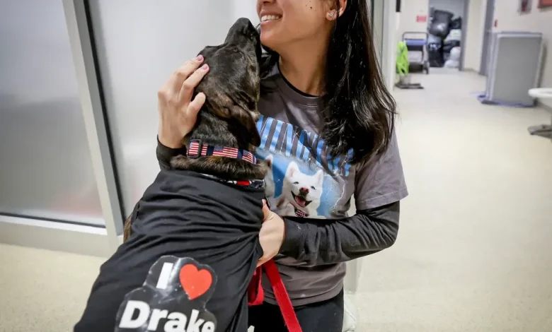 Patriots HC Mike Vrabel changing culture for dogs in shelters, Robert Kraft’s wife says