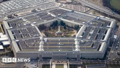 Pentagon to offer 'more limited' support to US allies