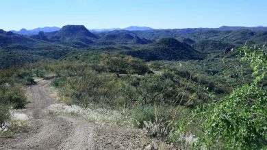 Person in critical condition after Arizona shooting involving Border Patrol