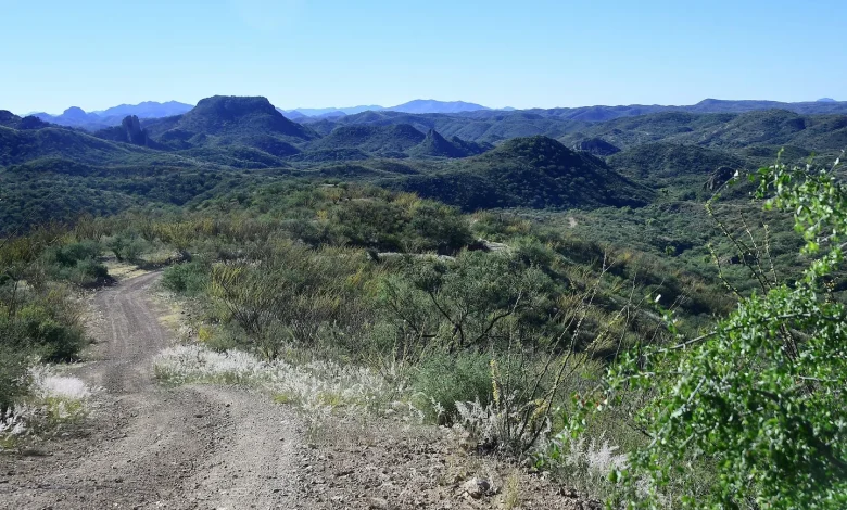 Person in critical condition after Arizona shooting involving Border Patrol