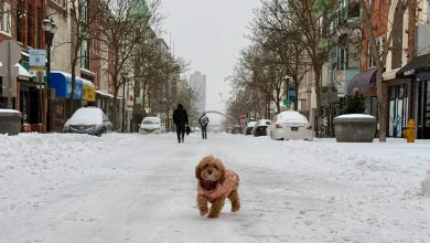 Philadelphia snow updates: Latest forecast; snowfall totals