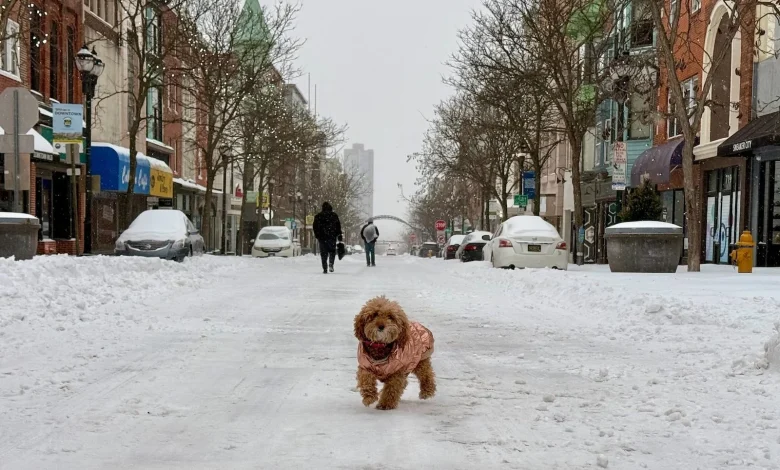Philadelphia snow updates: Latest forecast; snowfall totals
