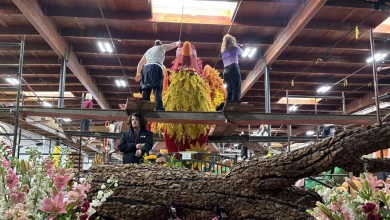Phoenix parade float is a symbol of hope at Rose Parade : NPR