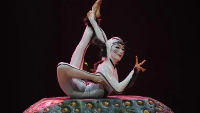 Photos show Cirque du Soleil rehearsing for upcoming show 'Ovo,' on the life cycle of insects