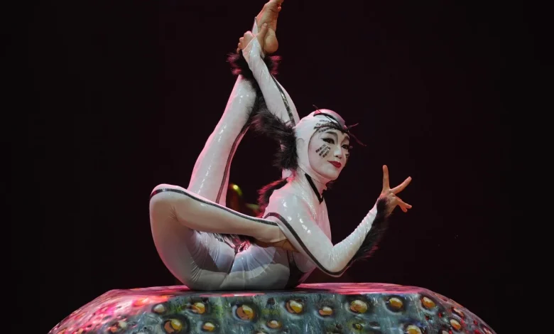 Photos show Cirque du Soleil rehearsing for upcoming show 'Ovo,' on the life cycle of insects