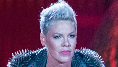 Pink Hospitalized on New Year's Eve