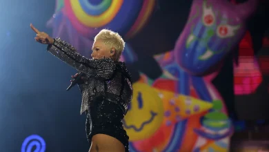 Pink hospitalized on New Year’s Eve: ‘Rock ‘n’ roll is a contact sport’