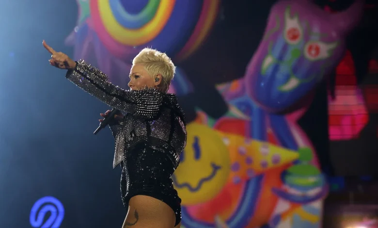 Pink hospitalized on New Year’s Eve: ‘Rock ‘n’ roll is a contact sport’