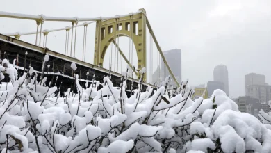 Pittsburgh: 8-12" inches of snow forecast this weekend