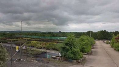 Plans for 350 homes and 564 parking spaces on plant nursery