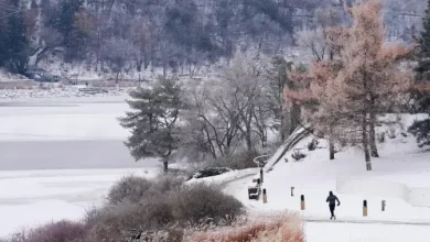 Polar vortex: What is the frigid arctic system hitting Canada?