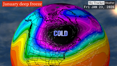 Polar vortex brings cold temperatures to GTA — and it’s here for the rest of January
