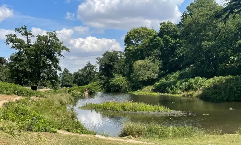 Police officer 'deliberately' recorded fake information on Bradgate Park mushroom picker