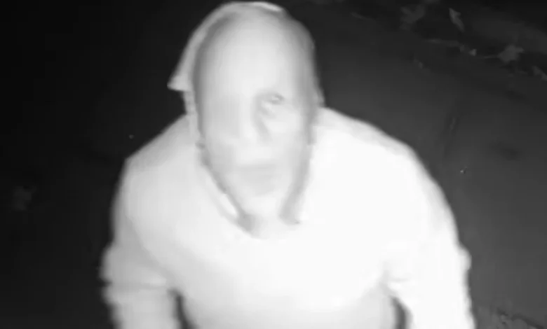 Police share video of burglar repeatedly falling while trying to escape petrol station raid