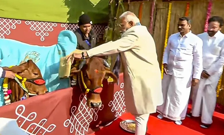 Pongal a global festival, cherished by Tamil community world over: PM Modi