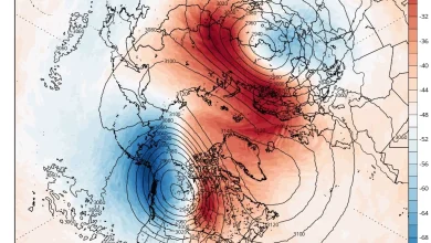 Possible Sudden Stratospheric Warming in early February could roll the dice towards colder weather