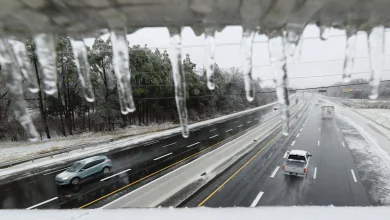 Post-Storm Chill to Challenge US Electric Grids as Demand Surges