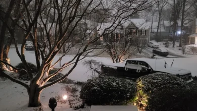 Preliminary snow totals from around Northern Virginia | Headlines