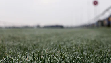 Racing weather and inspection latest news