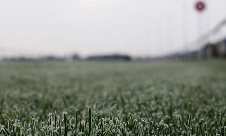 Racing weather and inspection latest news