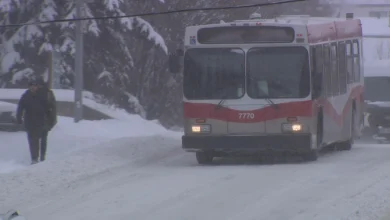 Random attack on NE Calgary Transit bus injures 1: police