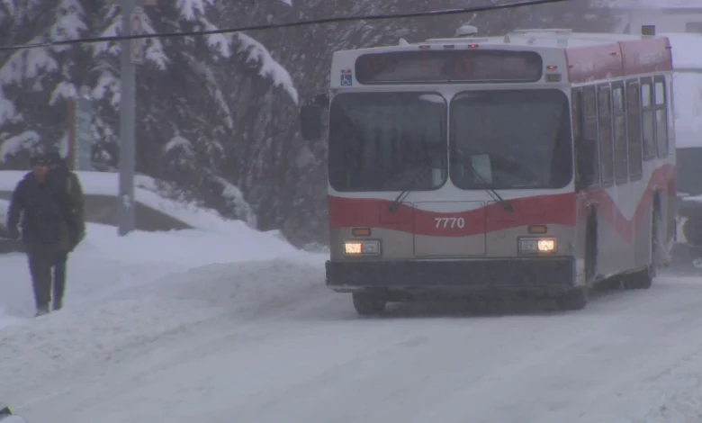Random attack on NE Calgary Transit bus injures 1: police