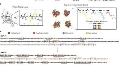 Random heteropolymers as enzyme mimics