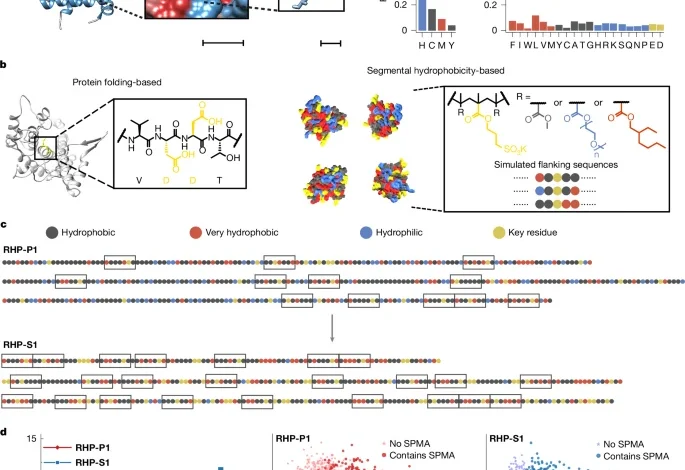 Random heteropolymers as enzyme mimics